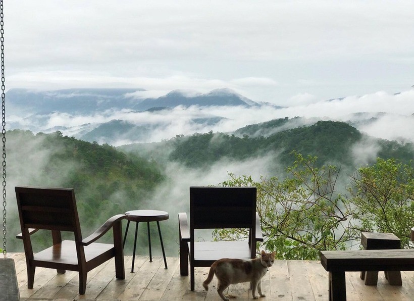 Đồi Dã Chiến Đà Lạt 
